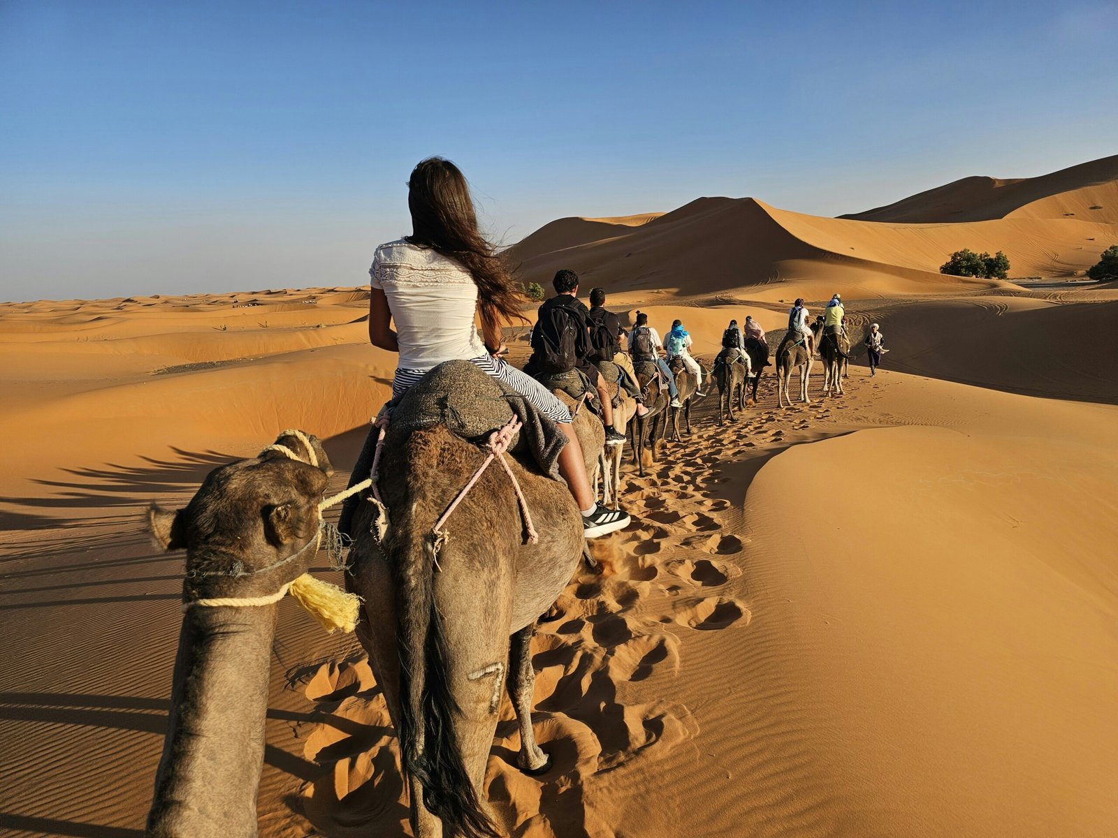Camel caravan crossing the Erg Chebbi dunes in Merzouga at sunset