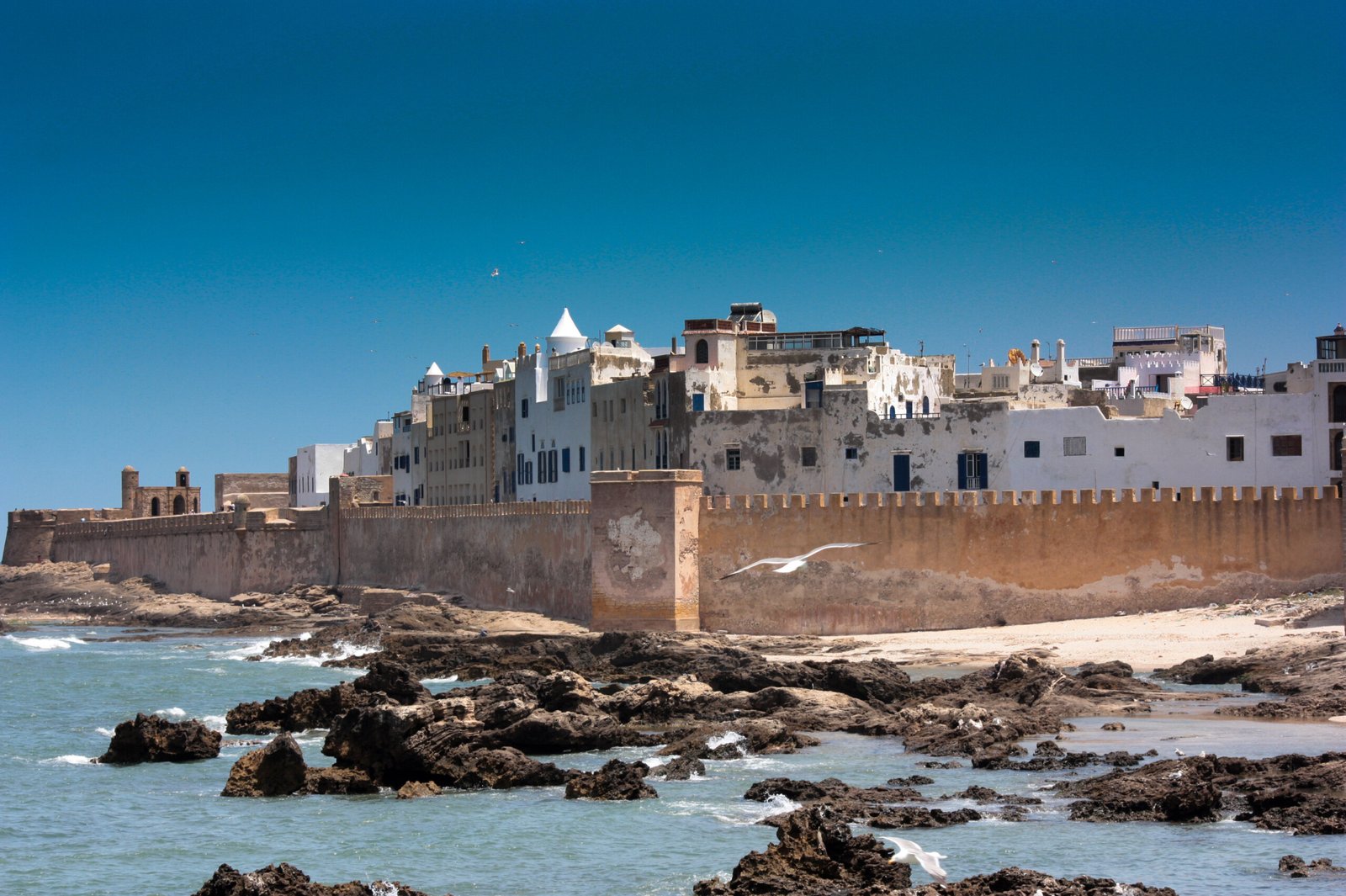 Blue fishing boats in the harbour of Essaouira below the ramparts