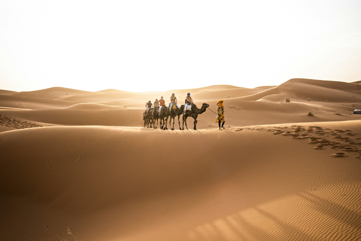 Camel trek at sunset in Erg Chebbi dunes