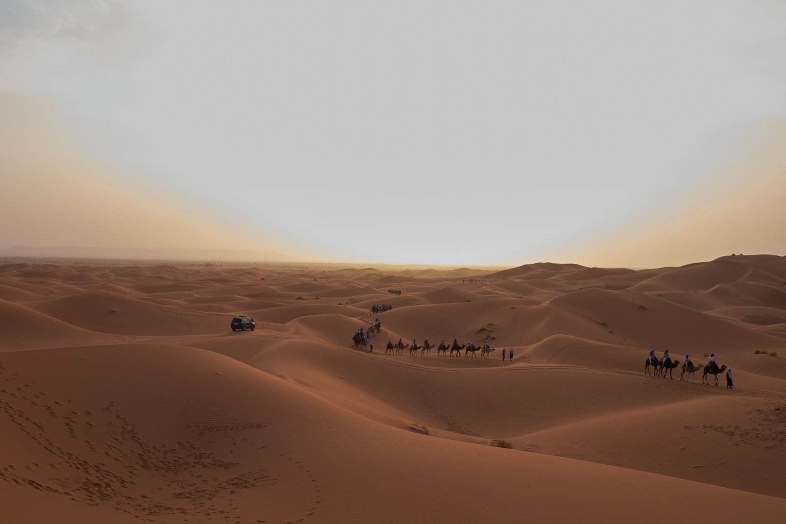 Camel caravan crossing the Erg Chebbi dunes of Merzouga at sunset