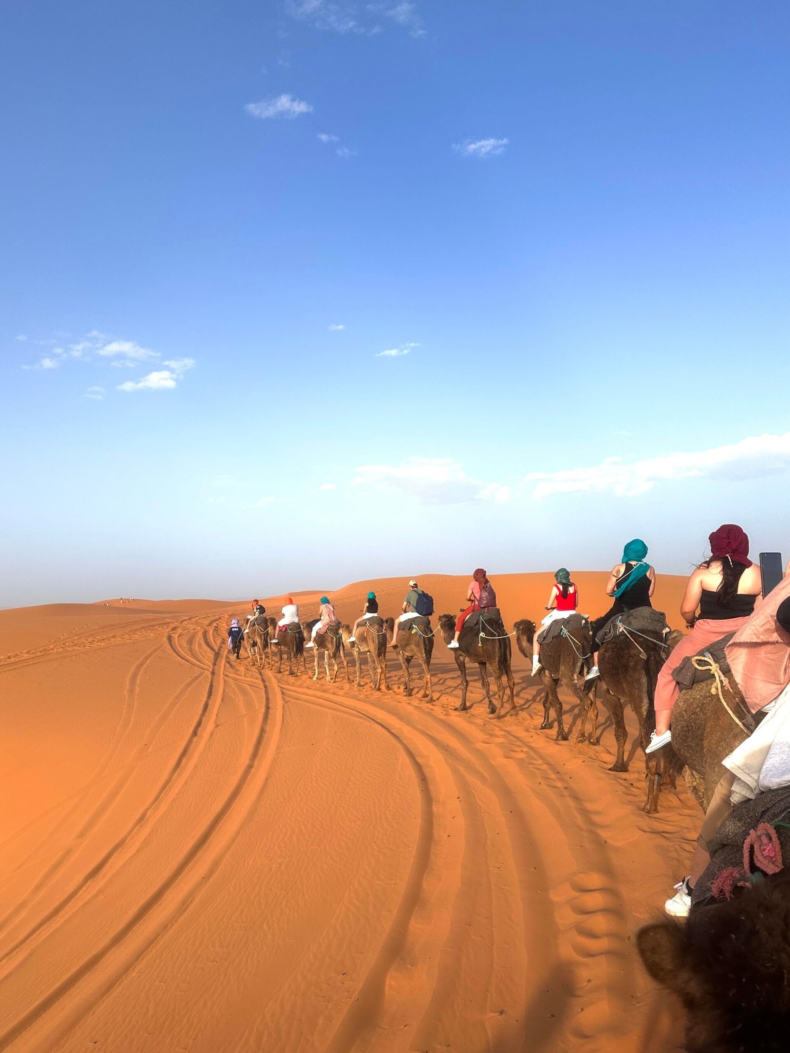 Camel trek across the Erg Chebbi dunes of Merzouga at sunset