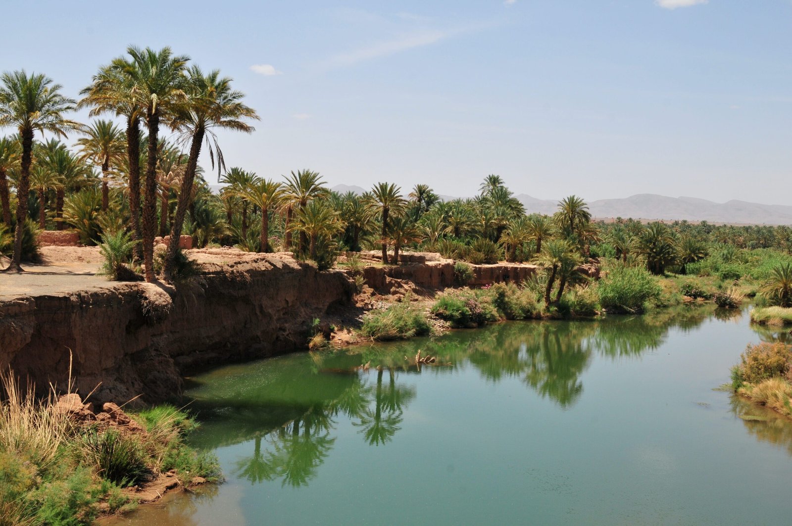 Palm groves and kasbahs along the Draa Valley