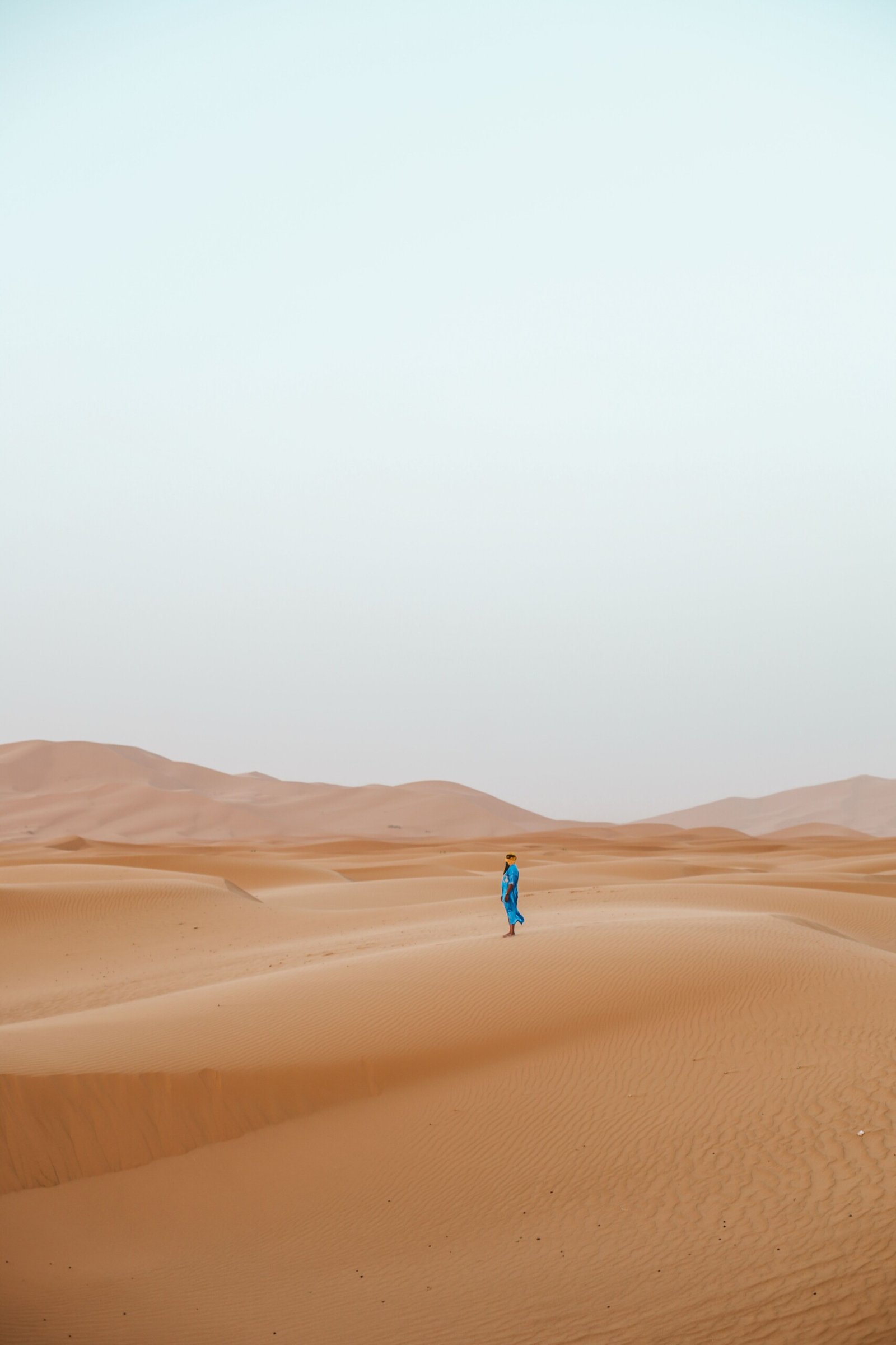 Camels resting on the Erg Chebbi dunes near Merzouga at sunset