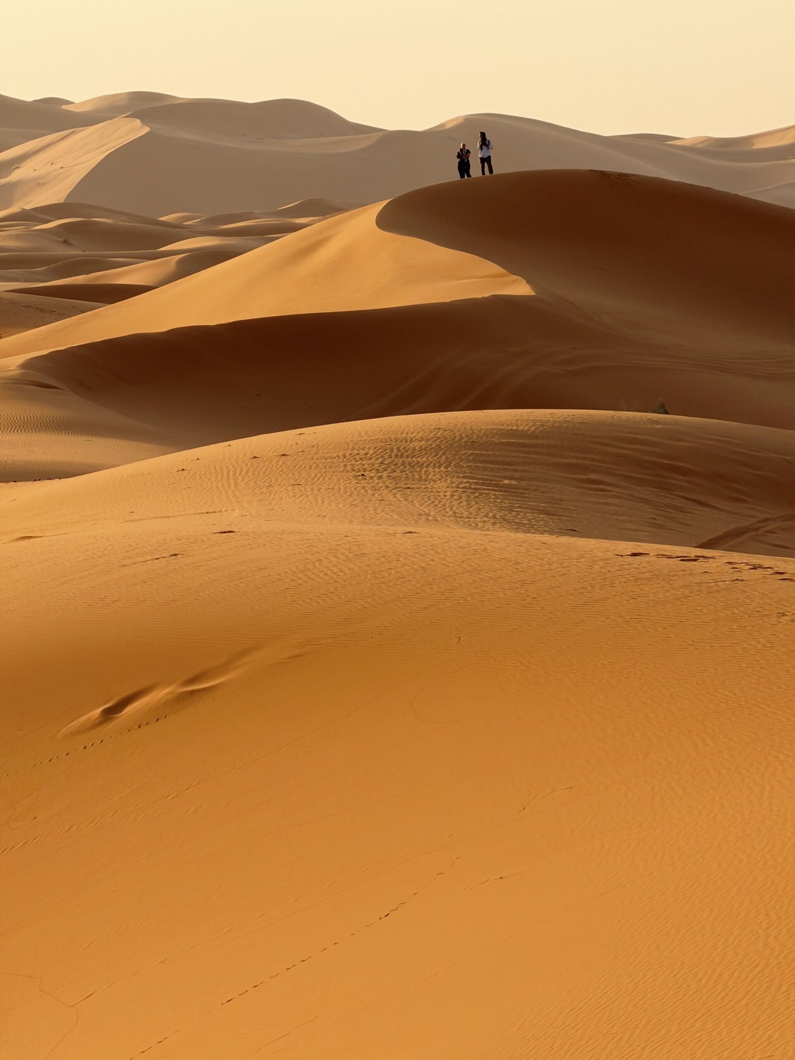 Traveller walking the crest of a dune in Merzouga