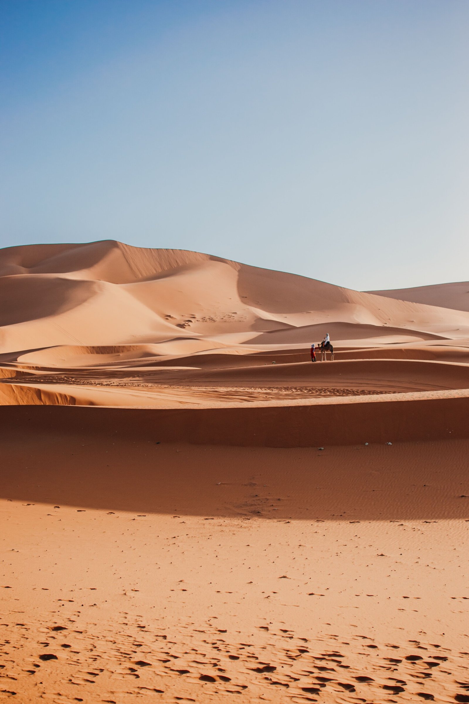 Camel caravan crossing the Erg Chebbi dunes in Merzouga at sunset