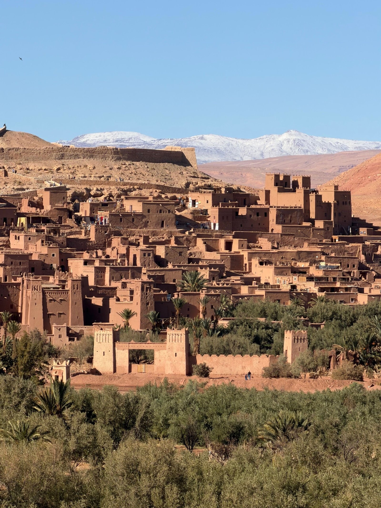 Palm groves and kasbahs along the Draa Valley