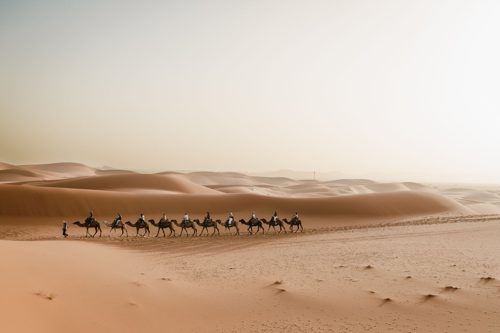 Morocco Imperial Cities and Sahara Desert Tour